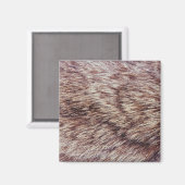 Lynx fur magneet (Voorkant / Achterkant)