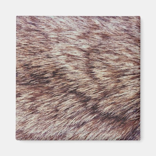 Lynx fur magneet (Voorkant)