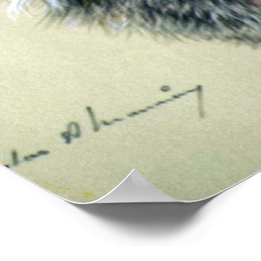 Lynx (hoofdstudie) poster (Hoek)