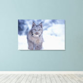 Lynx in de sneeuw in de uitlopers canvas afdruk (Insitu (Houten vloer))