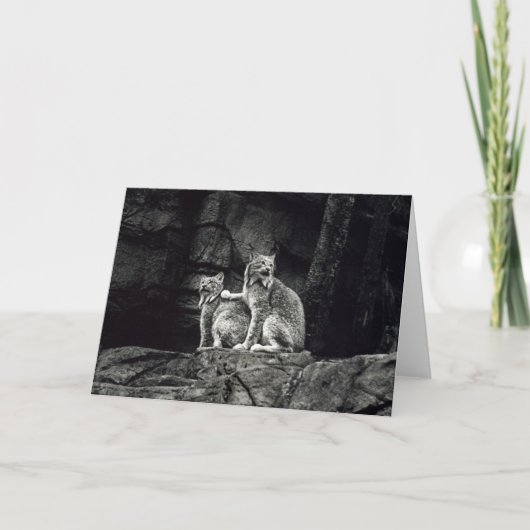 Lynx Kaart (Voorkant)