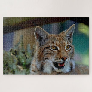lynx kattenpuzzel legpuzzel