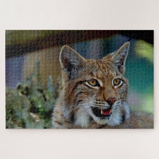 lynx kattenpuzzel legpuzzel (Horizontaal)