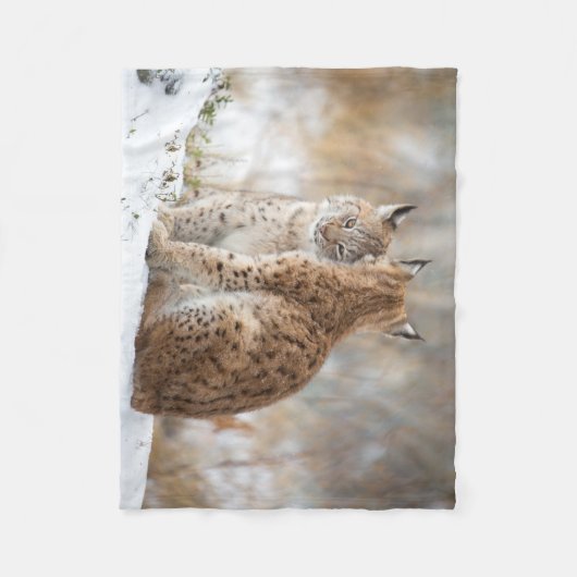 Lynx love Blanket Fleece Deken (Voorkant)