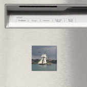 Lynx magnet magneet (Insitu (Vaatwasser))