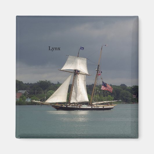 Lynx magnet magneet (Voorkant)