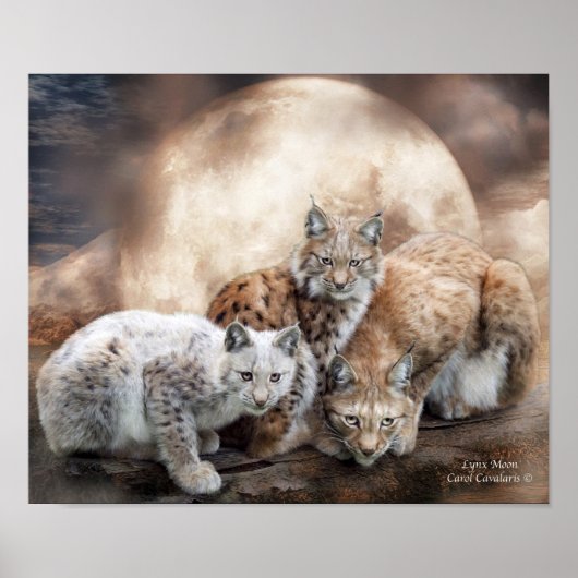 Lynx Moon Art Poster/Print Poster (Voorkant)