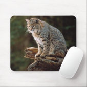 Lynx Muismat (Met muis)