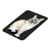 Lynx Point Siamese Cat Magneet (Linkerzijde)