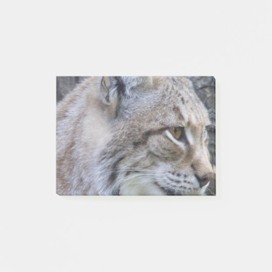 Lynx Post-it® Notes (Voorkant)