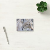 Lynx Post-it® Notes (Kantoor)