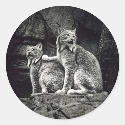 Lynx Ronde Sticker (Voorkant)