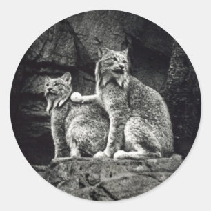 Lynx Ronde Sticker