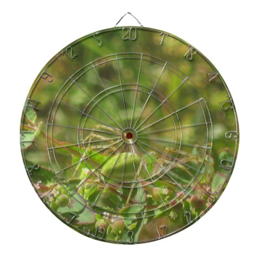 Lynx Spider Dartbord (Voorkant)