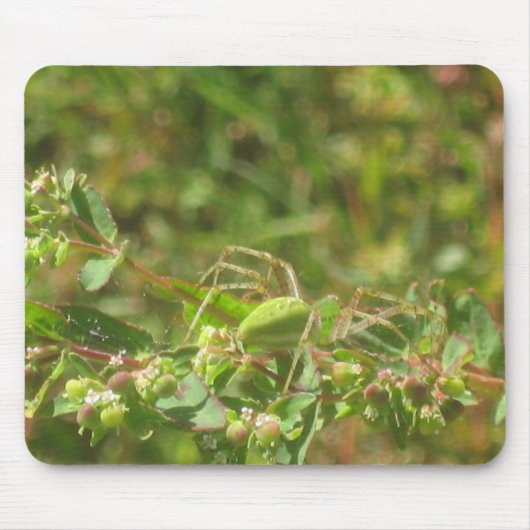Lynx Spider Muismat (Voorkant)