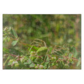 Lynx Spider Snijplank (Voorkant)