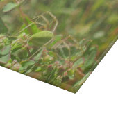 Lynx Spider Snijplank (Hoek)