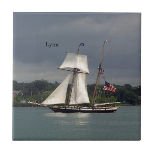 Lynx-tegel Tegeltje (Voorkant)
