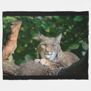 Lynx Wildcat op Fleece Blanket Deken