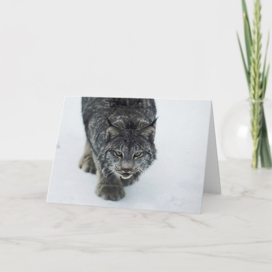 Lynx Winter Feestdagen Kaart (Voorkant)