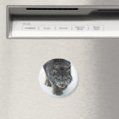 Lynx Winter Magneet (Insitu (Vaatwasser))