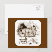 Lynxfamilie Briefkaart (Voorkant / Achterkant)