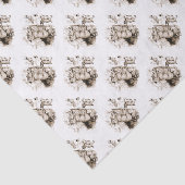Lynxfamilie Tissuepapier (Detail)