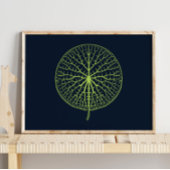 Lys à eau | Impression murale pour la salle pour e