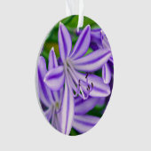 Lys africain exotique (devant)