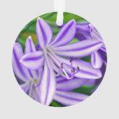 Lys africain exotique (dos)