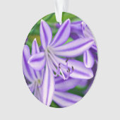 Lys africain exotique (devant)