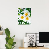Lys blancs - Lilium candidum Poster (Bureau à domicile)