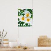 Lys blancs - Lilium candidum Poster (Cuisine)