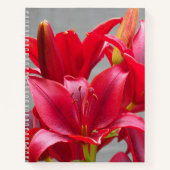 Lys d'Asie Rouge Carnet Floral (Devant)