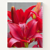 Lys d'Asie Rouge Carnet Floral (Dos)