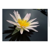 Lys d'eau avec libellule (Devant horizontal)