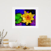 Lys d'eau jaune, impression (Cuisine)