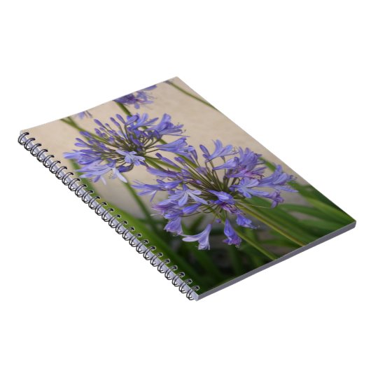 Lys Du Carnet Des Fleurs Du Nil (Côté Droit)