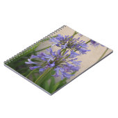 Lys Du Carnet Des Fleurs Du Nil (Côté gauche)