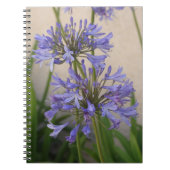 Lys Du Carnet Des Fleurs Du Nil (Devant)