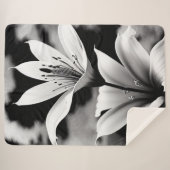 Lys en noir et blanc sur une couverture Sherpa (Devant (Horizontal))
