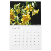 Lys Fleurs Guérison Touch Calendrier Floral (Jan 2026)