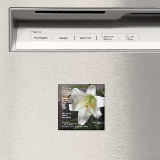 Lys of the Field - Magnet (In Situ (Lave-vaisselle))