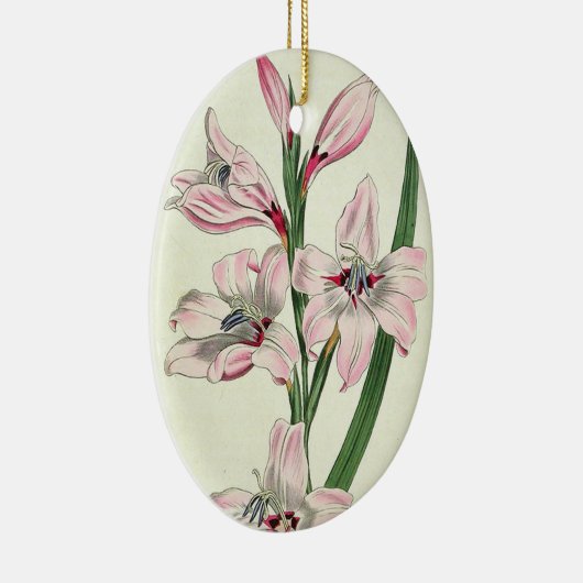 Lys roses - Ornement (Droite)