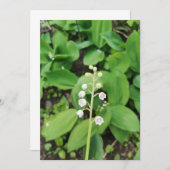 Lys solitaire de la carte blanche de la vallée (Devant / Derrière)