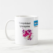 lysozym sjabloon mok (Links)