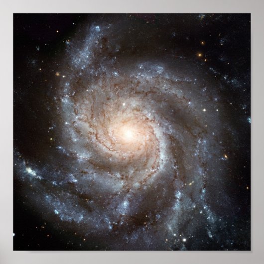 M101 Galaxy Poster (Voorkant)