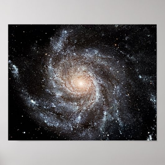 M101 Pinwheels Spiral Galaxy NASA Poster (Voorkant)