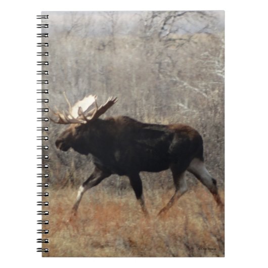 M10 Bull Moose Notitieboek (Voorkant)