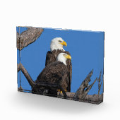 M15 & F23 - Een nieuw paar Fotoblokken (Rechts)